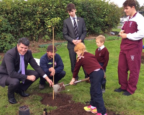 Orchard Tree Planting